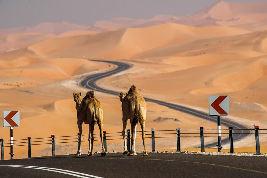 طريقٌ بين الرمال