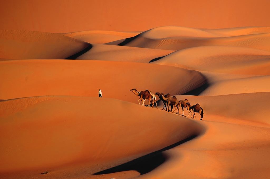 القافلة