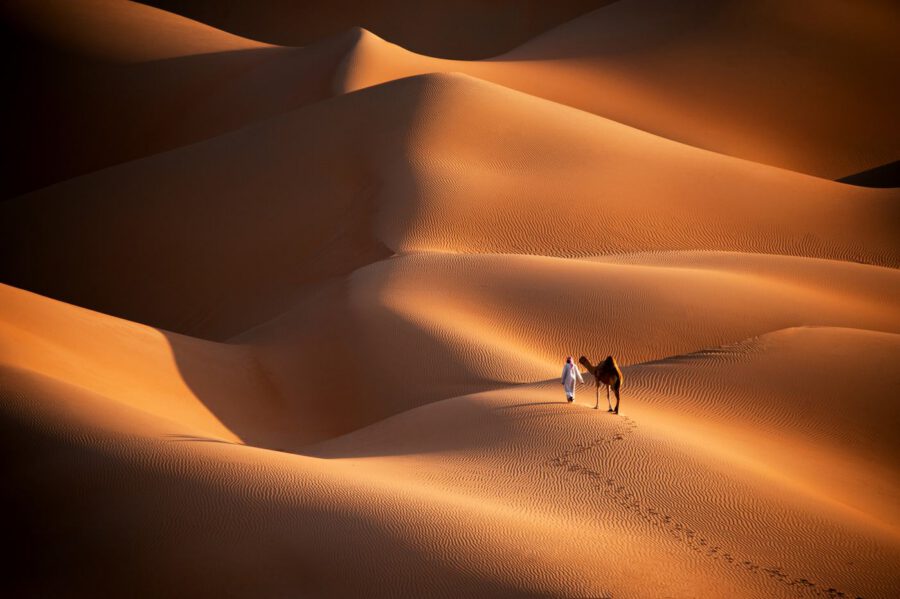 نحو الضوء