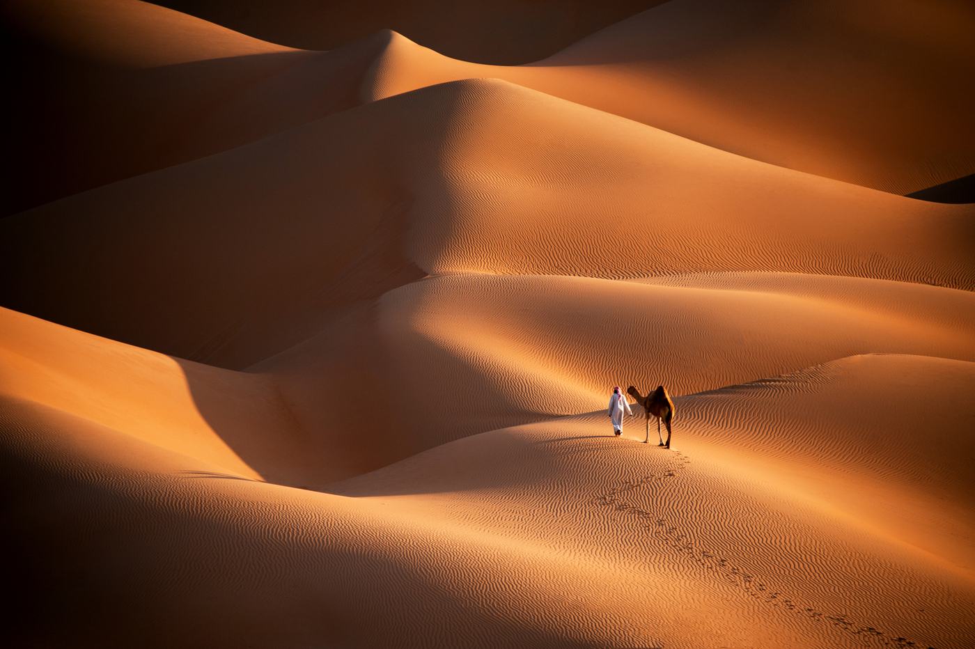 نحو الضوء