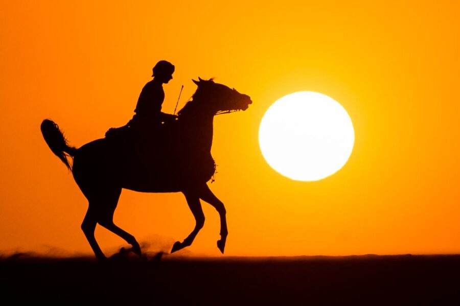 فارسٌ يلاحق الشمس
