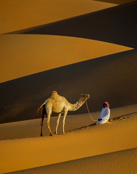 صُحبةٌ قديمة
