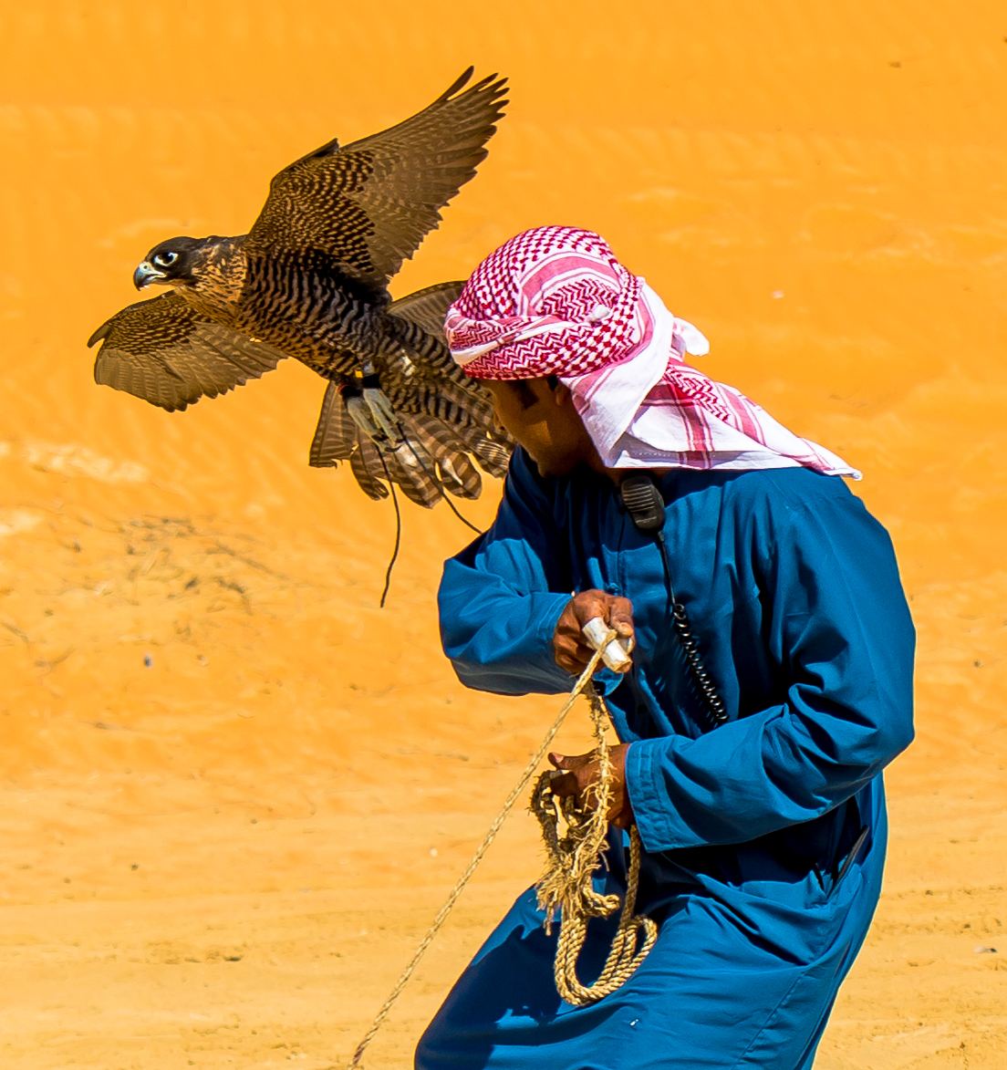 اليدُ والجناح