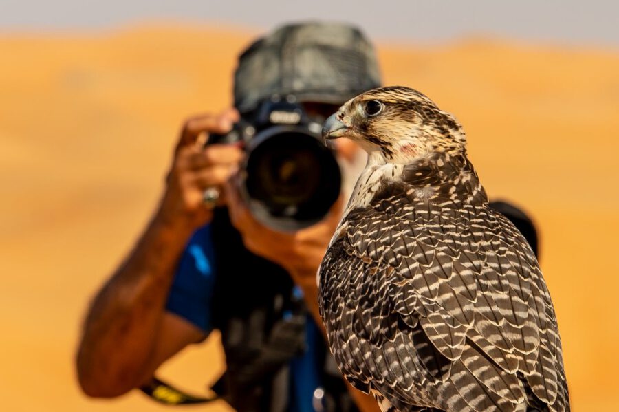 الناظرُ والمنظور