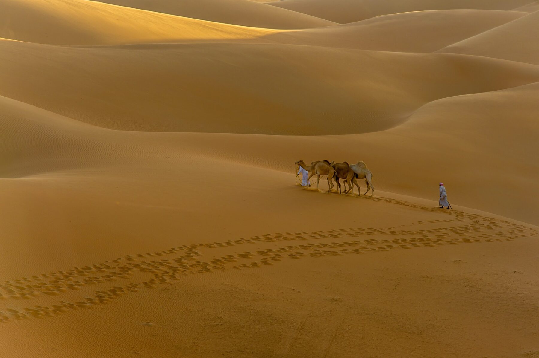 أثرٌ على صفحة الرمل